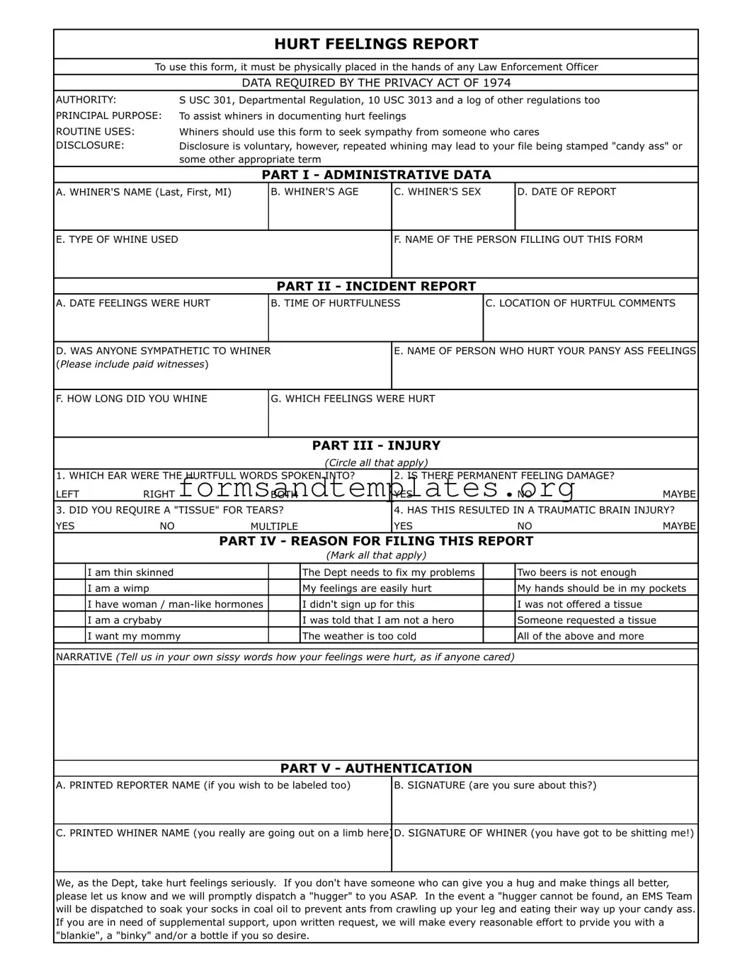Printable Hurt Feelings Report Template