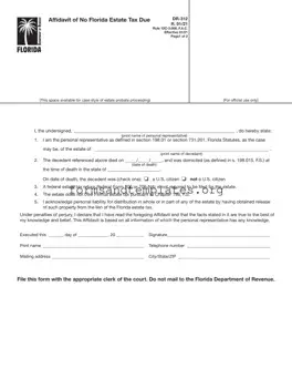 Printable Fl Dr 312 Template