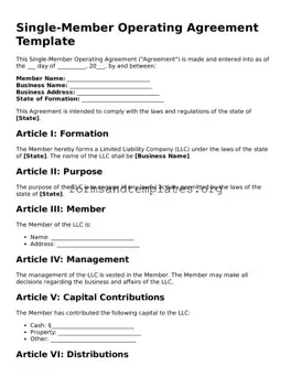 Attorney-Verified Single-Member Operating Agreement Template