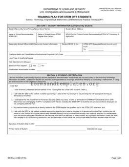 Printable ICE I-983 Template